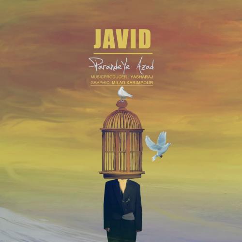 دانلود آهنگ پرنده آزاد دانلود آهنگ پرنده آزاد